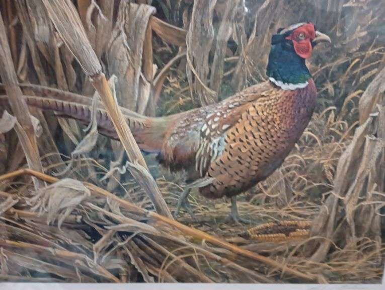 Pheasant print signed and numbered 34"×27"