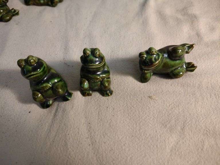 Frogs, birds and a owl