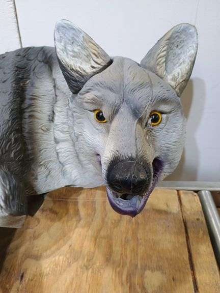 Faux coyote. 7c