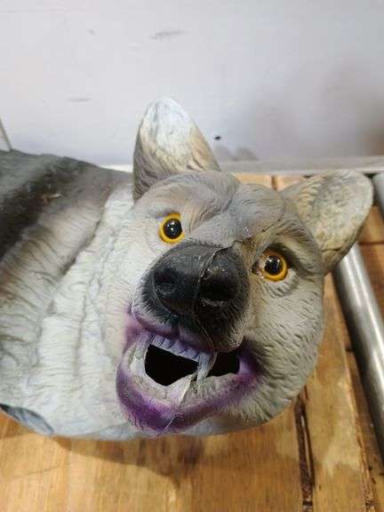 Faux coyote. 7c