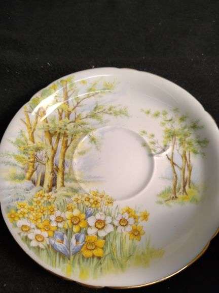 Daffodil Lime Shelly cup and saucer