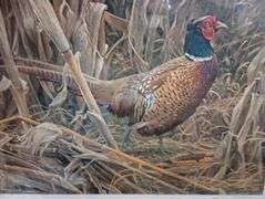 Pheasant print signed and numbered 34"×27"