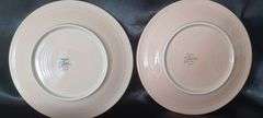 5 Fiesta Dinner Plates