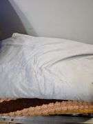 Blankets plus tote. 7d