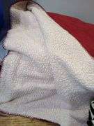 Blankets plus tote. 7d