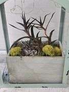 Distressed Green Lantern with Faux Plant & LED Lantern. 5C