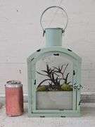 Distressed Green Lantern with Faux Plant & LED Lantern. 5C