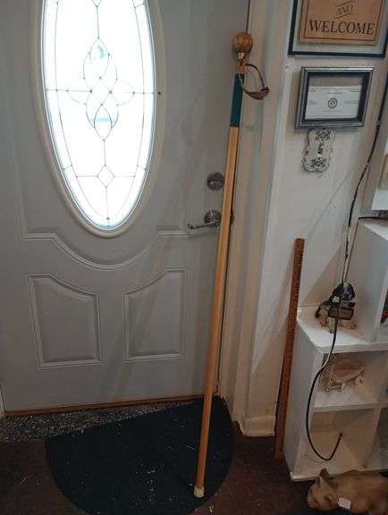 Walking stick