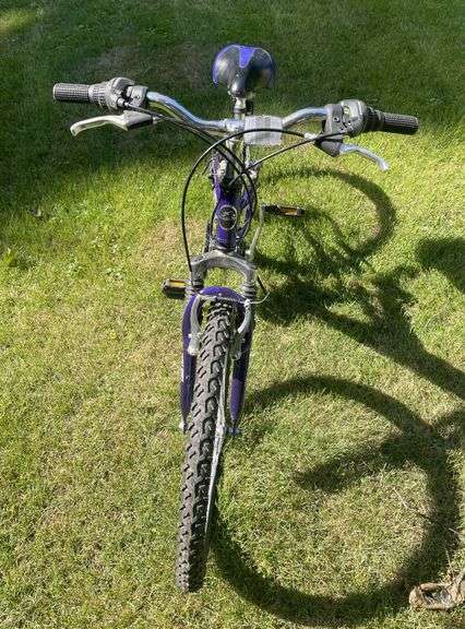Next Tiara Pro 21 Speed Shimano Gear Bicycle