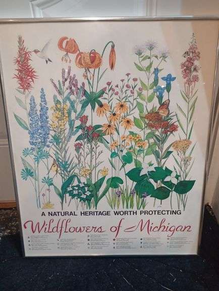 Wildflowers of Michigan print 18"×22 1/2"
