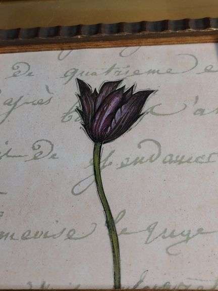 Pair of single flower prints 17 1/2 x 17 1/2