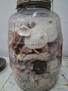 Large glass jar full of shells. 1c
