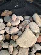 Variety of rocks from Lake Superior