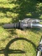 Next Tiara Pro 21 Speed Shimano Gear Bicycle