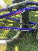 Next Tiara Pro 21 Speed Shimano Gear Bicycle