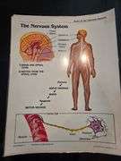Upper Elementary/Jr High Educational Materials including books. See all photos.