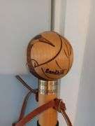 Walking stick