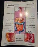 Upper Elementary/Jr High Educational Materials including books. See all photos.