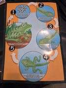 Elementary Educational Materials-see ALL photos