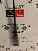 Hanson's scale