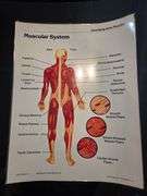 Upper Elementary/Jr High Educational Materials including books. See all photos.