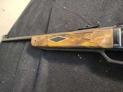 Daisy BB gun