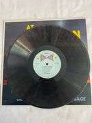 Vintage At Western Campfires Vinyl LP