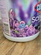 Clorox Scented Bleach & Laundry Sanitizer (Both New). 5E
