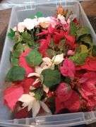 Sterilite 34qt tote of flowers
