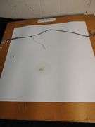 Pair of single flower prints 17 1/2 x 17 1/2