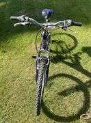 Next Tiara Pro 21 Speed Shimano Gear Bicycle