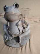 Frog rain gage