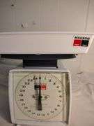 Hanson's scale