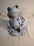 Frog rain gage
