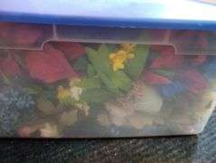 Sterilite tote with flowers