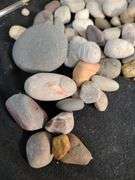 Variety of rocks from Lake Superior