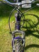 Next Tiara Pro 21 Speed Shimano Gear Bicycle