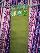 3 Boy Scout shirts and 1 pair of pants