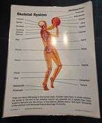 Upper Elementary/Jr High Educational Materials including books. See all photos.