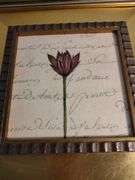 Pair of single flower prints 17 1/2 x 17 1/2
