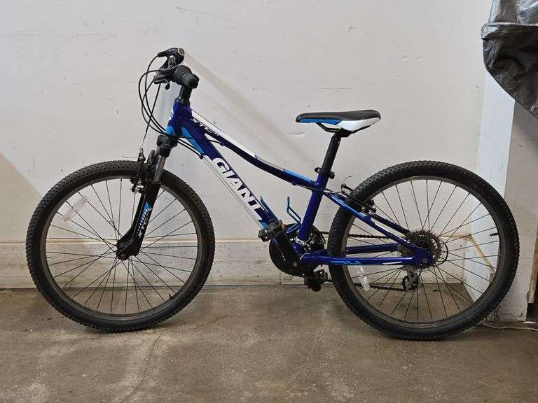 Giant XTC Jr. Mountain Bike