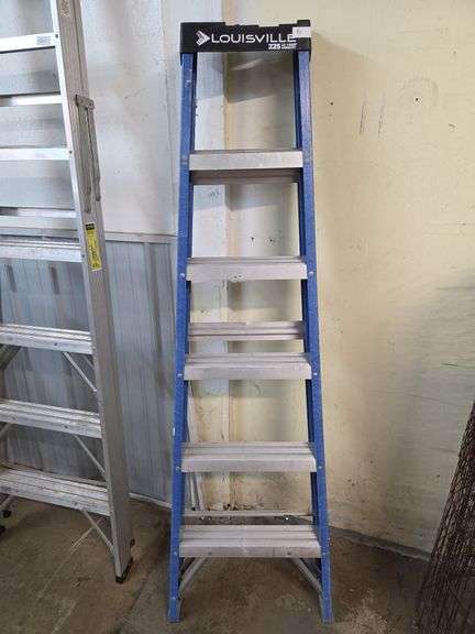 Louisville 6ft ladder