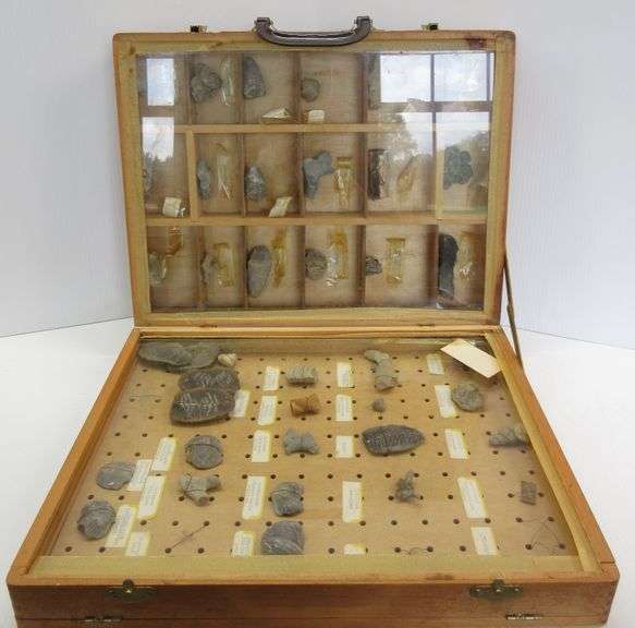 Set 4 Oliere Antigoccia DAMDAM GO In Vetro - Con Supporto, Design Elegante Per Cucina, 17x13x12cm - Foto 2