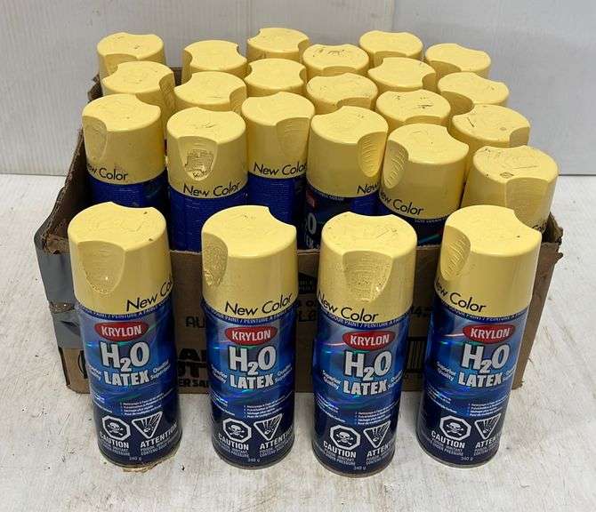 Krylon H2o Latex Spray Paint