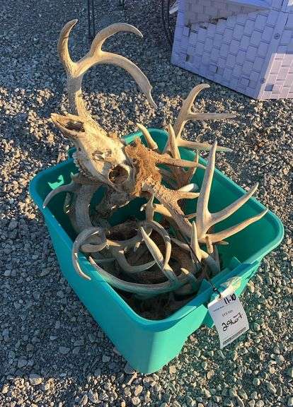 Tub of deer antlers, large racks, great for projects - Albrecht Auction ...