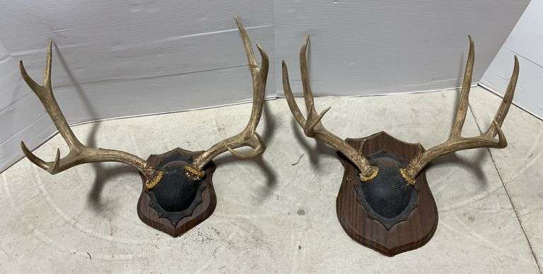(2) Large deer racks, up to 18