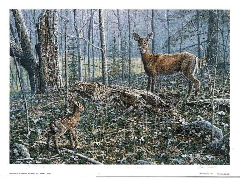 Paul Rankin - Mothers Guidance. Publishers Proof. Size: 14 x 18 Unframed