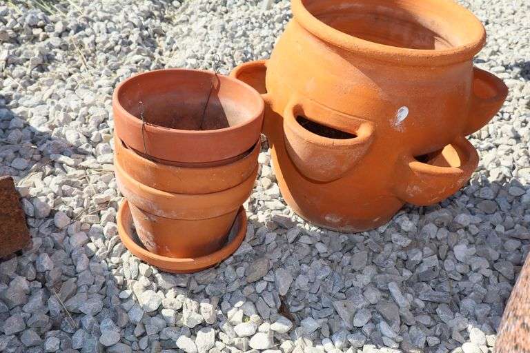 Chicken & Hens Planter