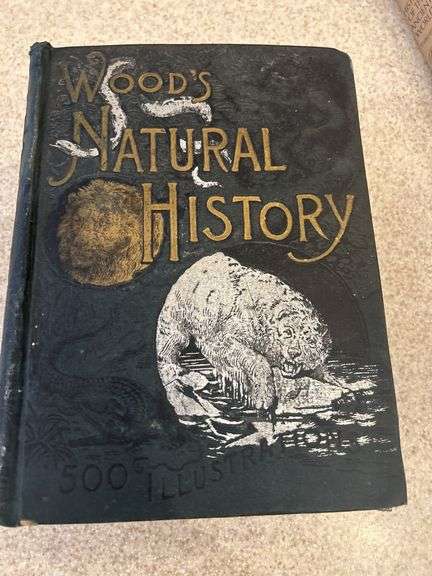 Wood's Natural History