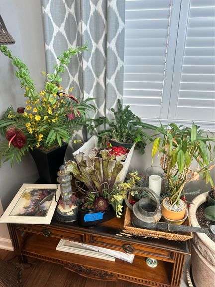 Plants and Home Decor